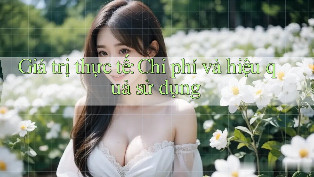 Giá trị thực tế: Chi phí và hiệu quả sử dụng Giá trị thực tế: Chi phí và hiệu quả sử dụng
